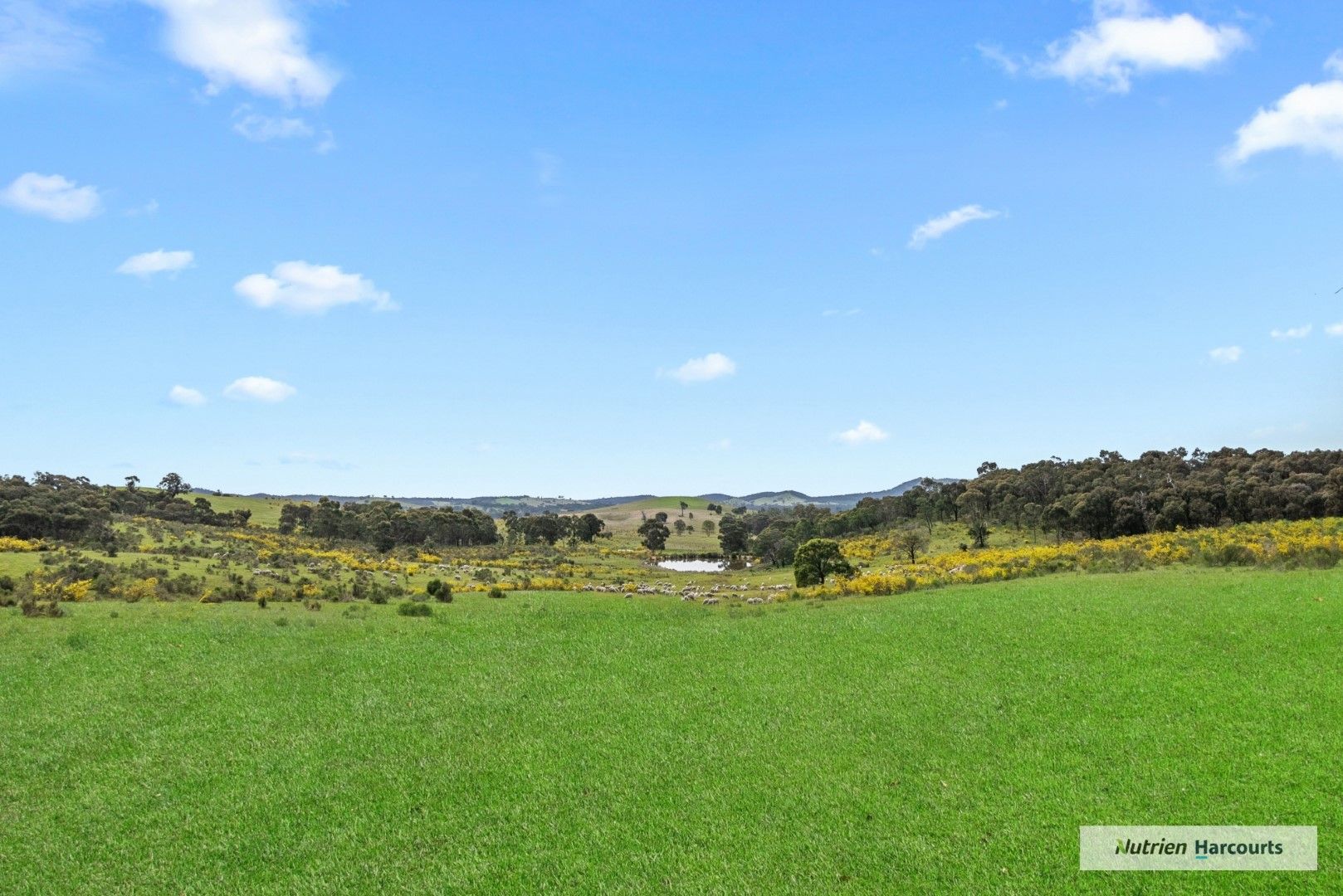 Lots 1-3, PS 814359P Duells Lane, Glenaroua VIC 3764, Image 2