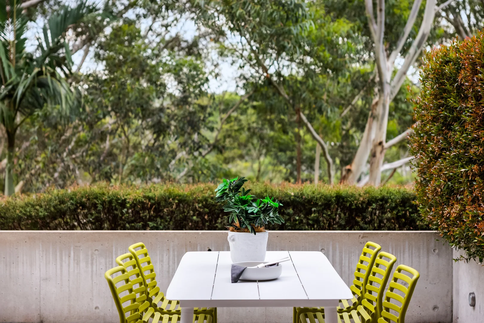 Additional image 13 of 2/570 Miller Street, Cammeray NSW 2062