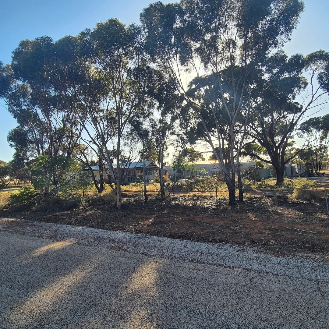 Image 11