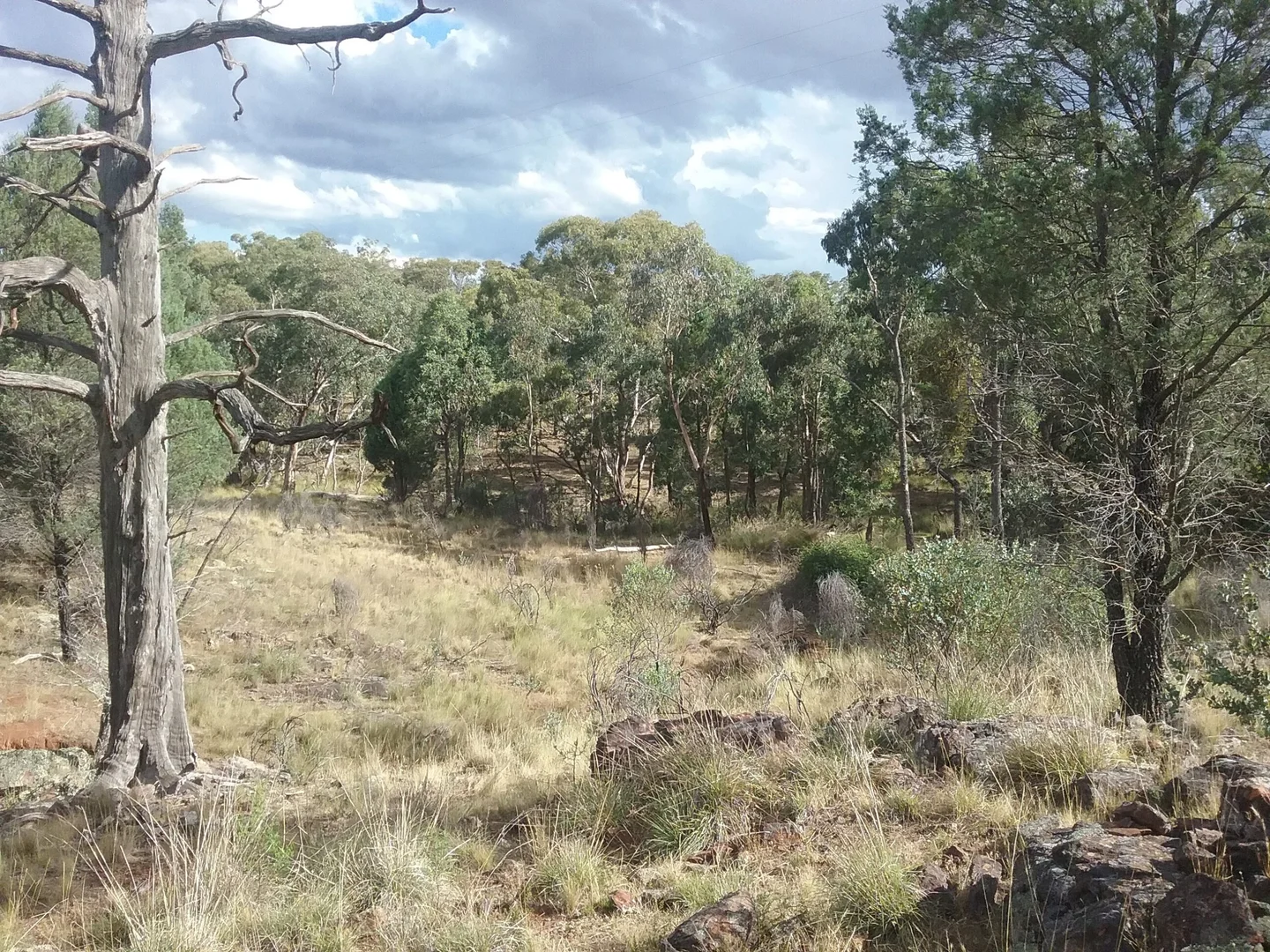 Additional image 6 of 141 Cenn Cruaich Road, Coonabarabran NSW 2357
