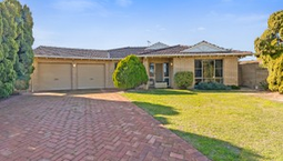 Picture of 22 Cinnabar Place, CARINE WA 6020
