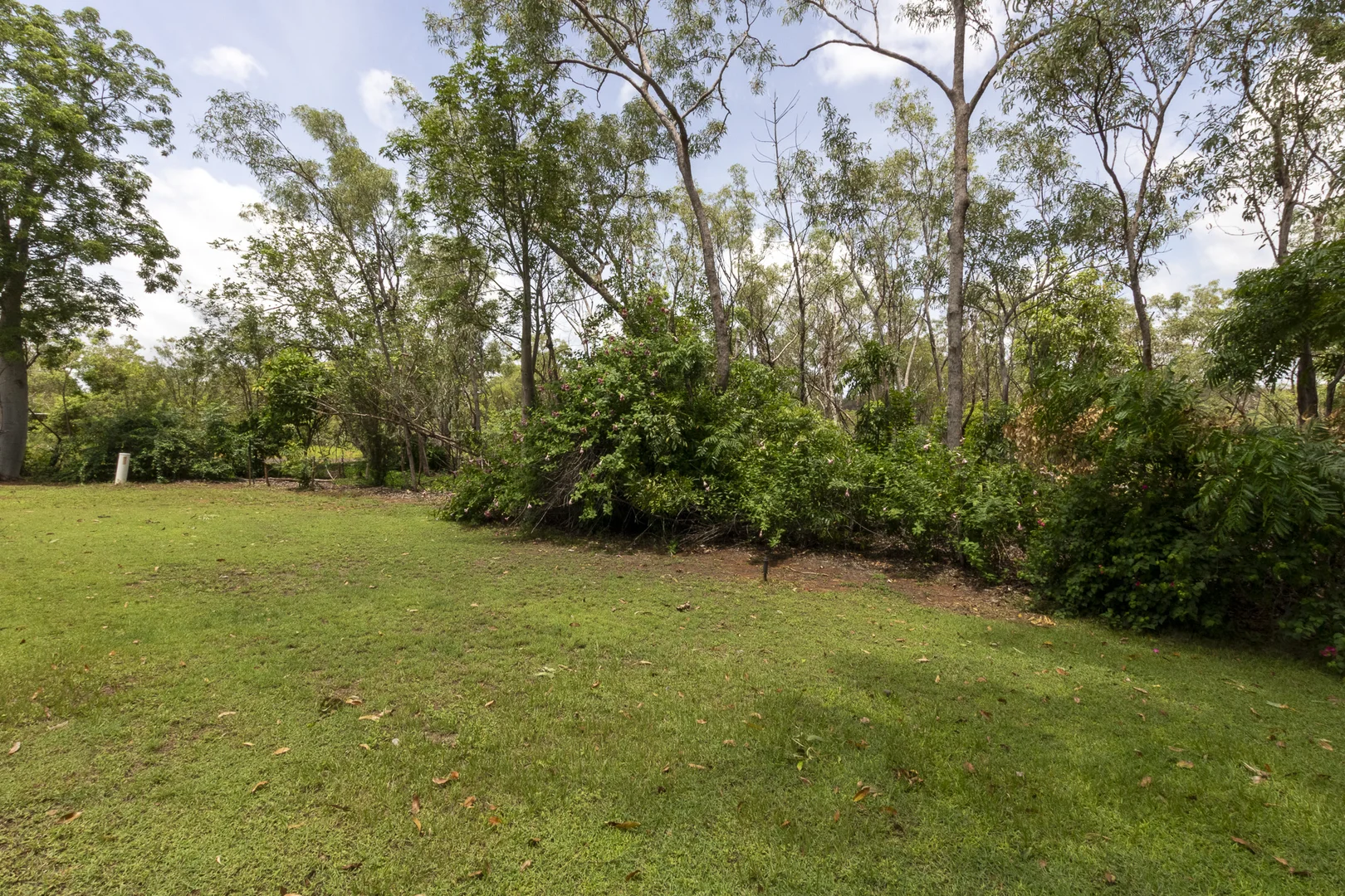 Image 46
