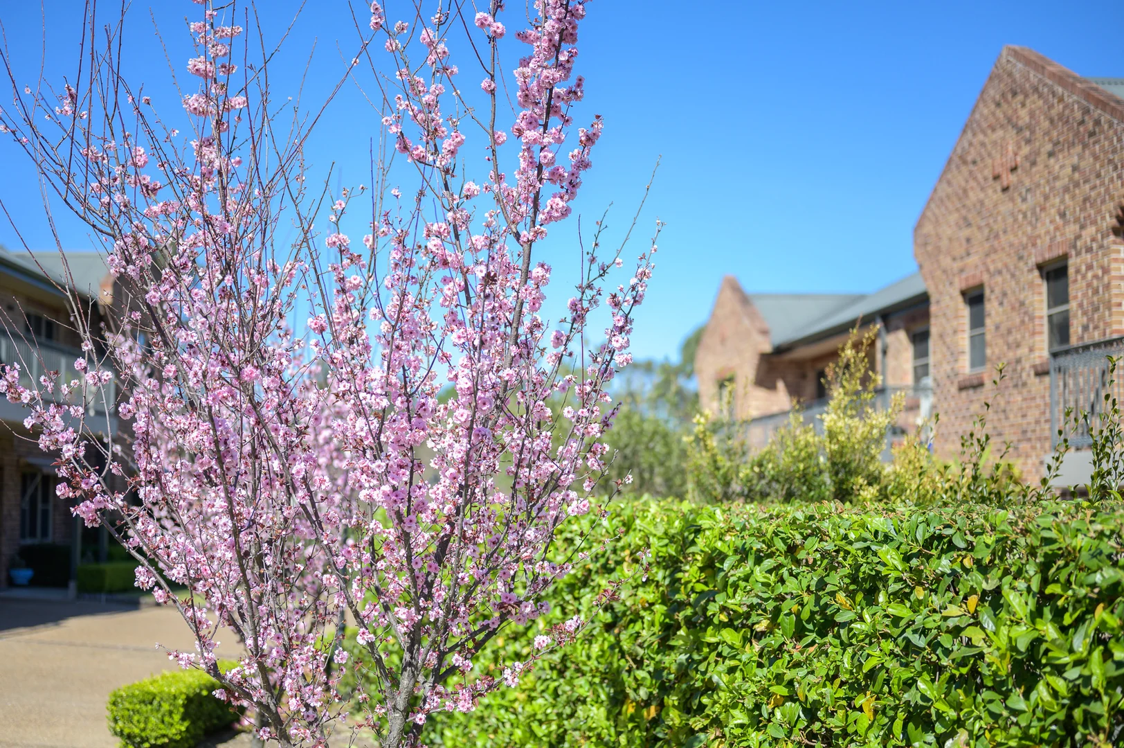 Additional image 10 of 20/22 Victoria Street, Berry NSW 2535