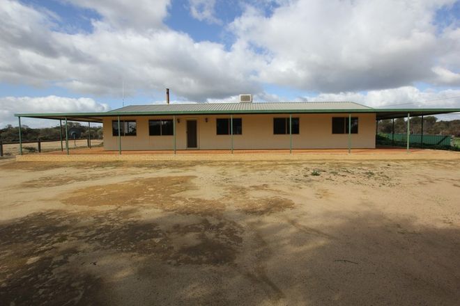 Picture of 1012 Ivey Road, SOUTH BODALLIN WA 6424