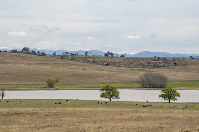 "Severn Park East" Black Range Road, Bobundara NSW 2630, Image 0