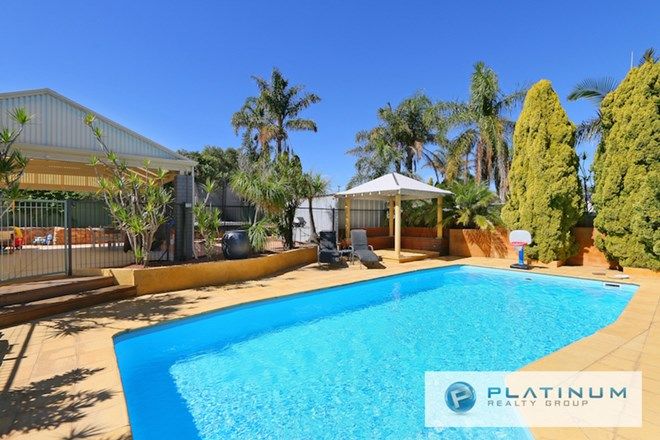 Picture of 8 Mundi Place, WANNEROO WA 6065