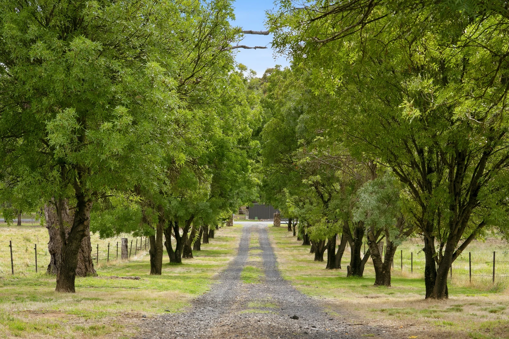 Additional image 2 of 34 Mandurama Road, Mandurama NSW 2792