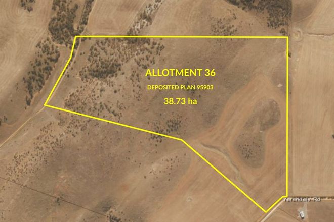 Picture of Lot 36 Lipson-Ungarra Road, LIPSON SA 5607