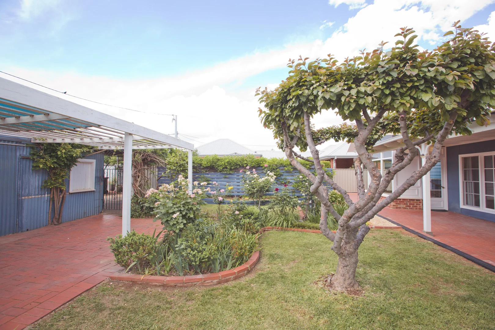 99 Binya Street, Griffith NSW 2680 - House For Rent | Domain