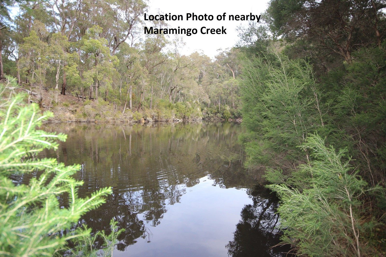 20 Beckers Rd, Maramingo Creek VIC 3891, Image 1