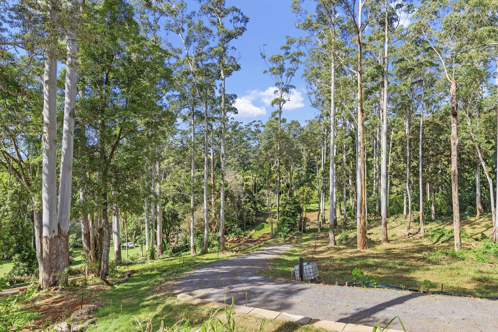 Additional image 2 of 78 Long Road, Tamborine Mountain QLD 4272