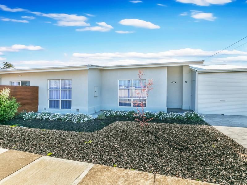 19 Nilpena Avenue, Park Holme SA 5043, Image 0