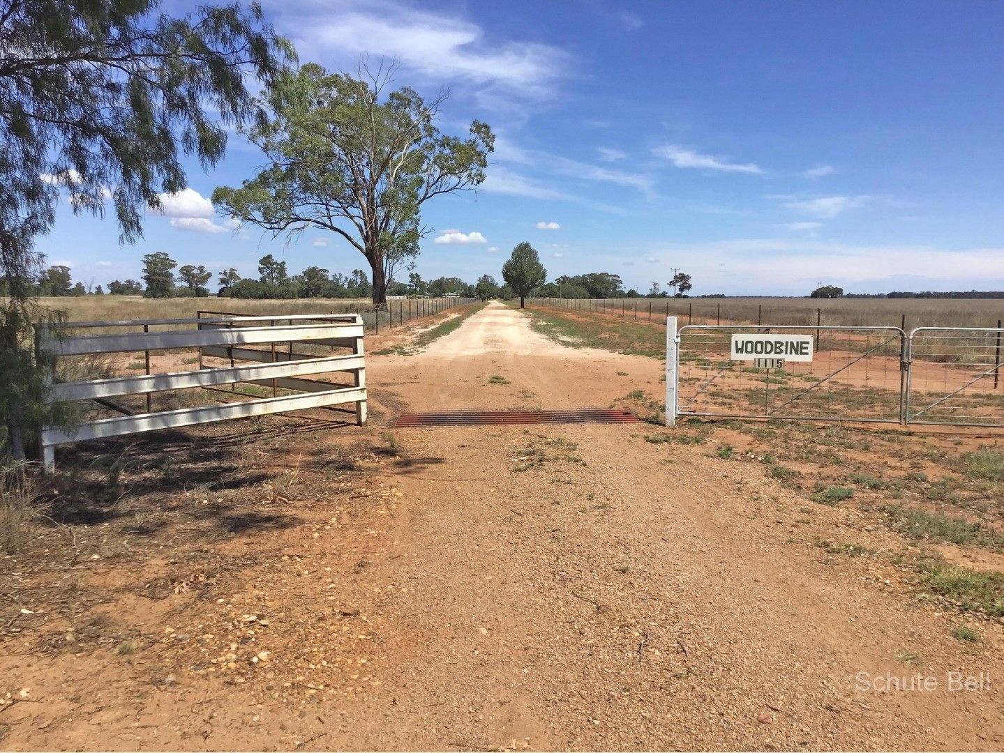 . Woodbine, Trangie NSW 2823, Image 0