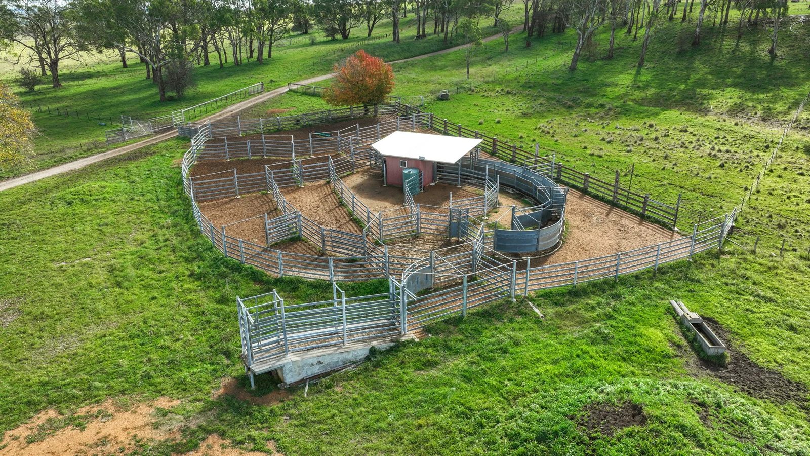 Additional image 13 of "Wyanga" 195 Gills Road, Uralla NSW 2358