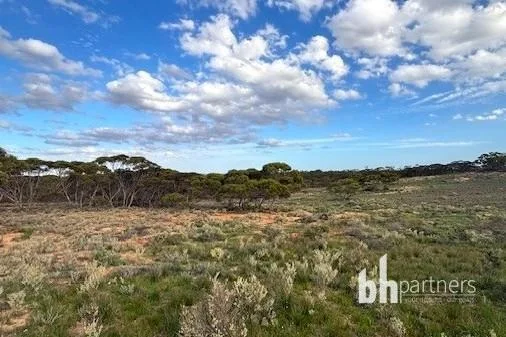 Additional image 6 of Section 369 Schwertie Road, Black Hill SA 5353