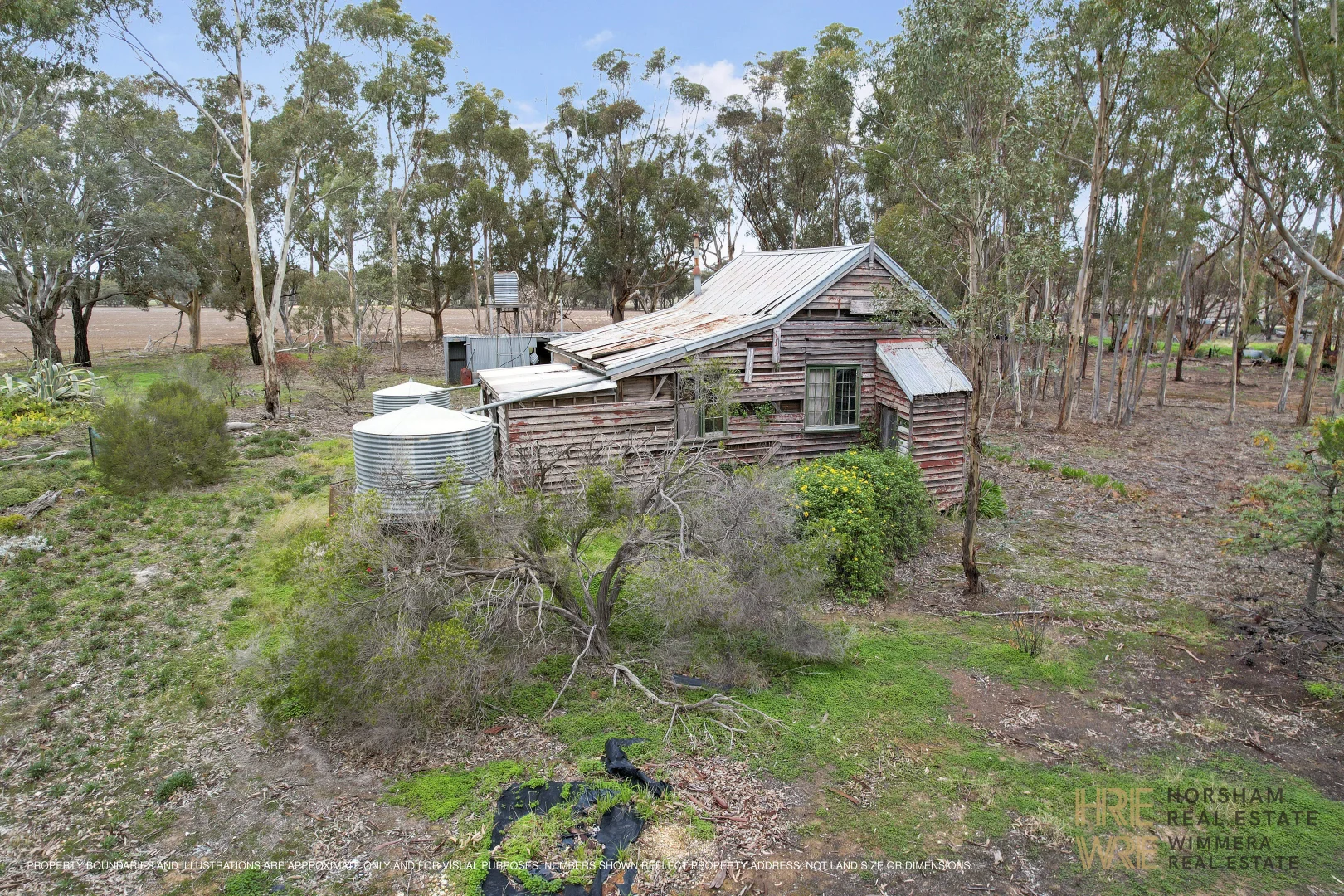 Image 12