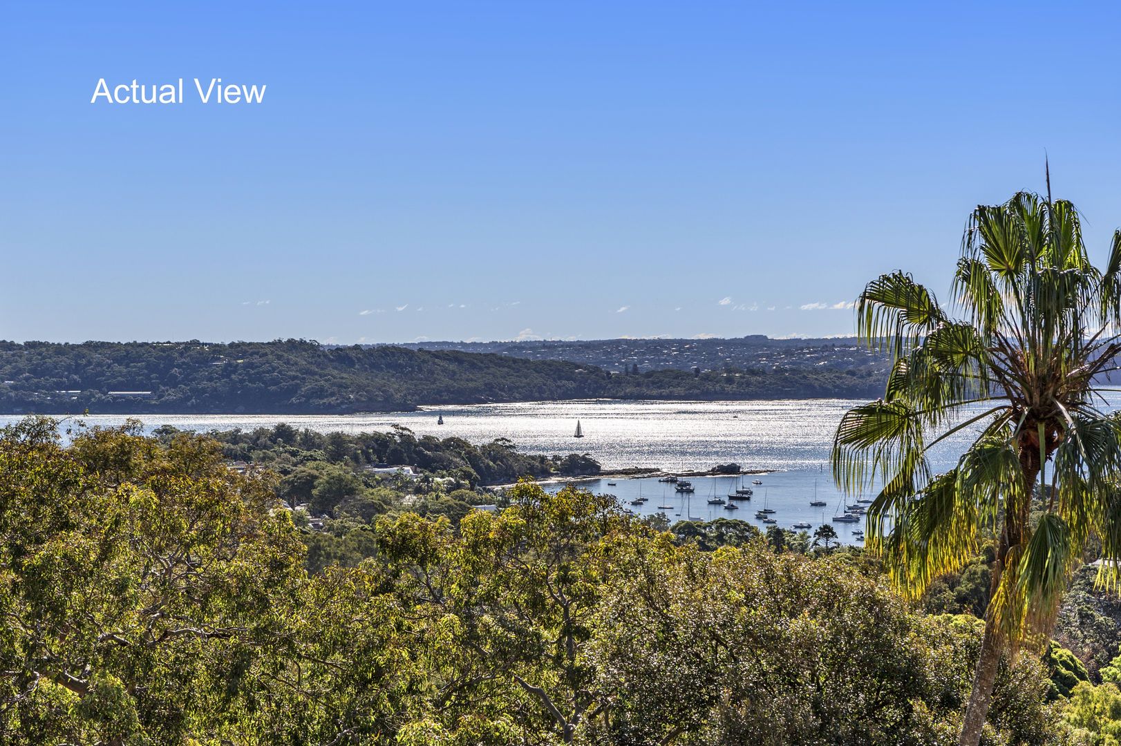 6 Hopetoun Avenue, Vaucluse NSW 2030, Image 1