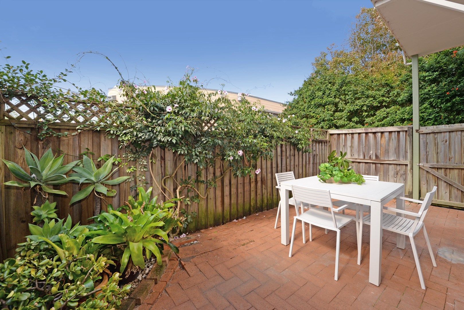 6/125 Mount Street, Coogee NSW 2034, Image 1