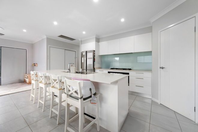 35 Lavinia Way Coomera 4209 - Image 5