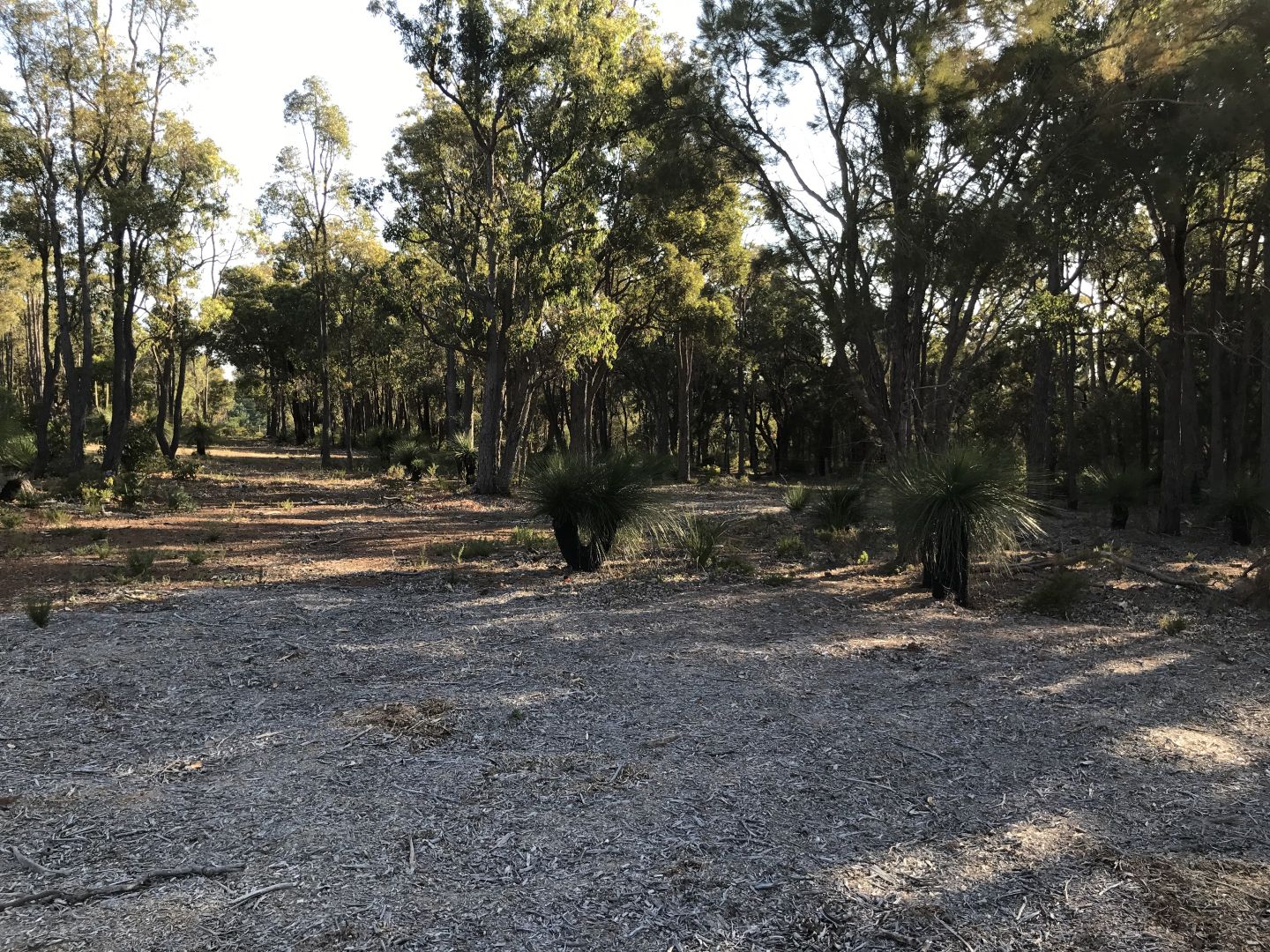 Lot 270 Runnymede Way, Bedfordale WA 6112, Image 2