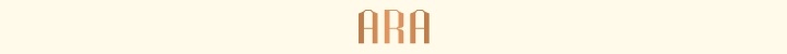 Branding for Ara