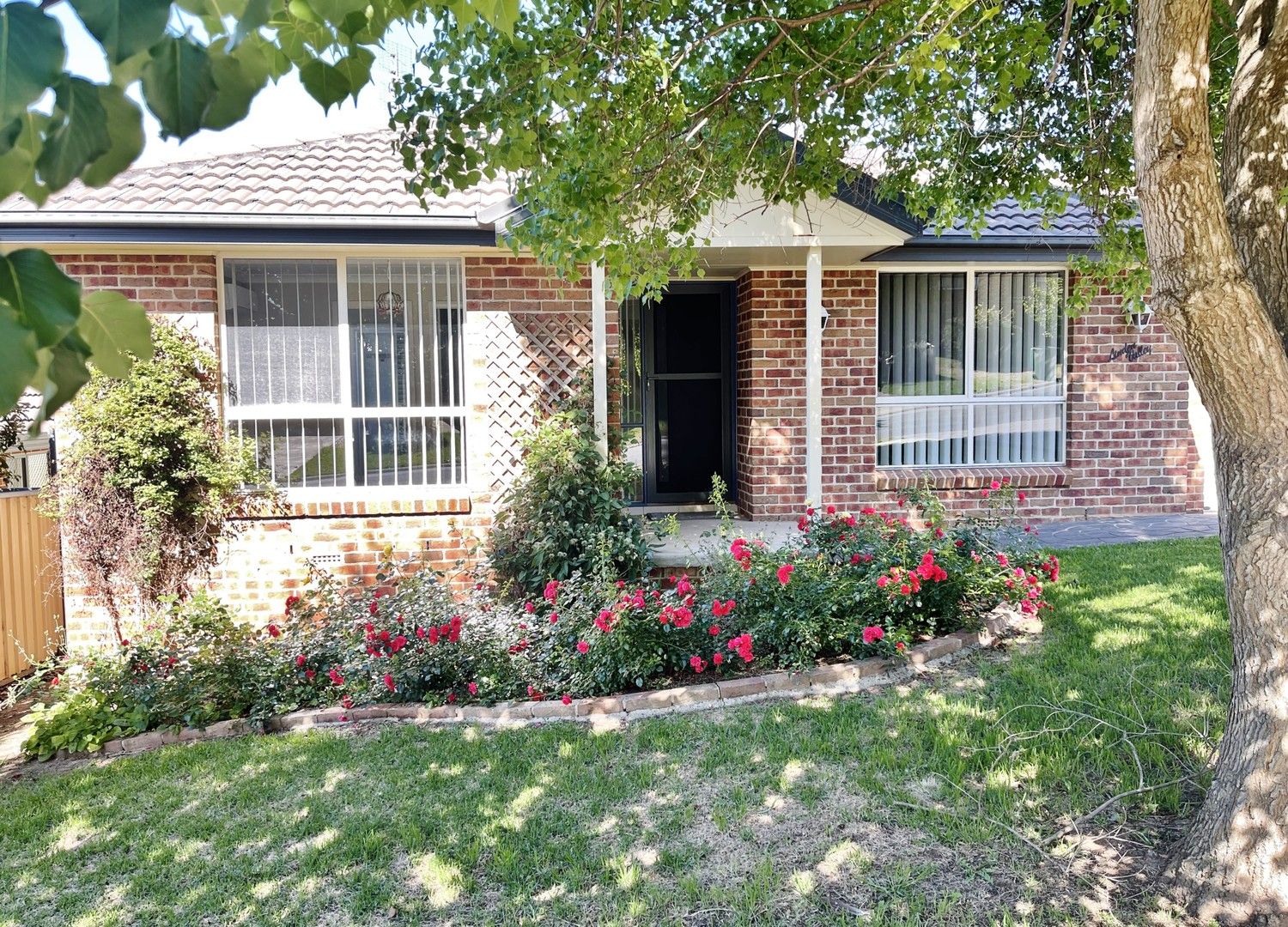3 Hambrook Place, Young NSW 2594 House For Rent Domain