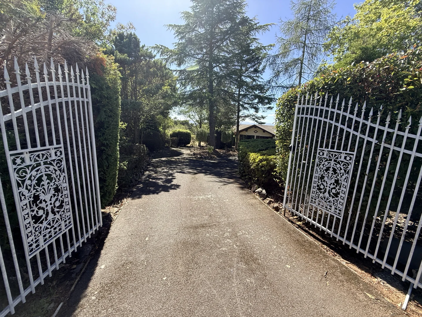 Additional image 13 of 31 Alpine Crescent, Grindelwald TAS 7277