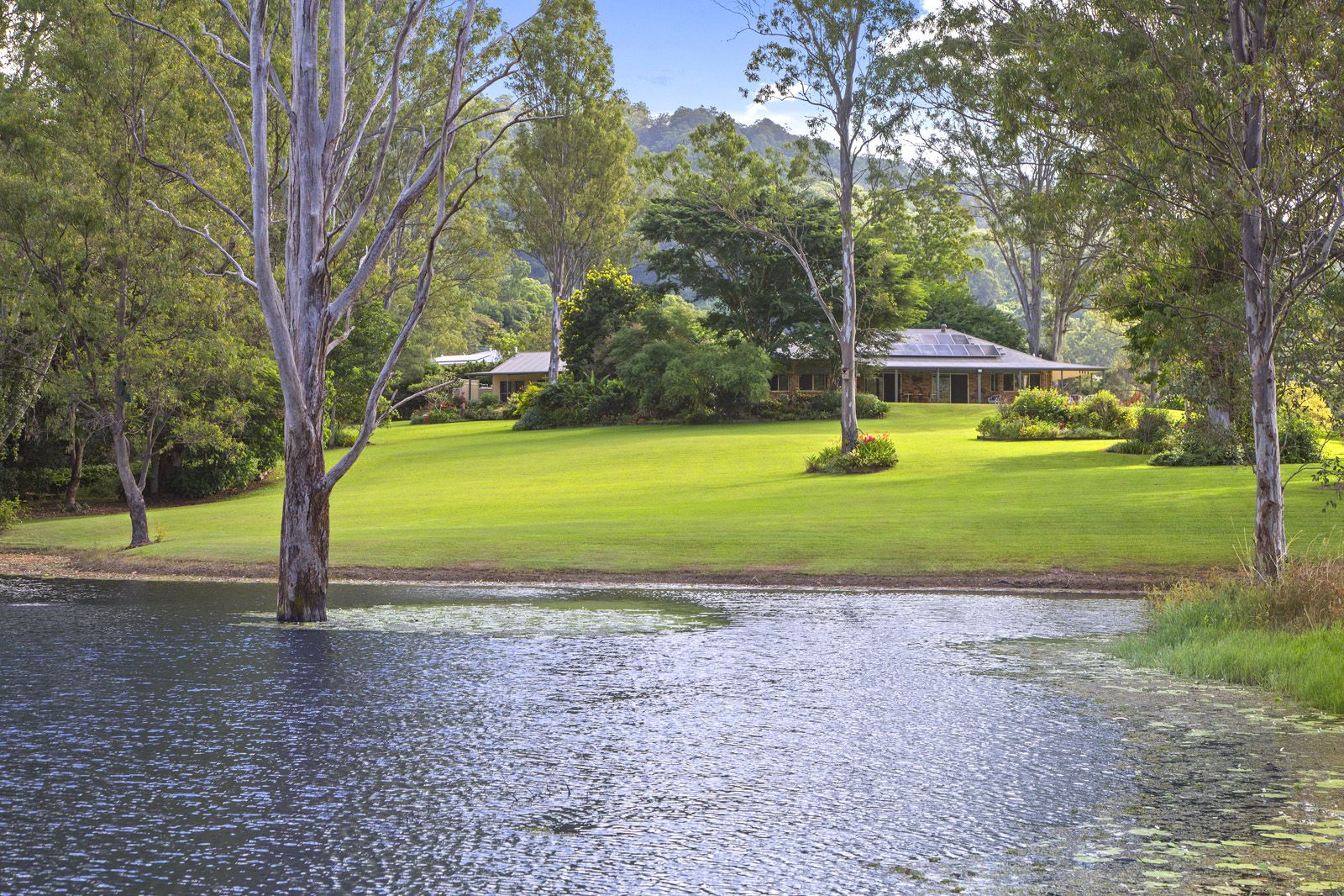 46A Country Road, Palmwoods QLD 4555, Image 0