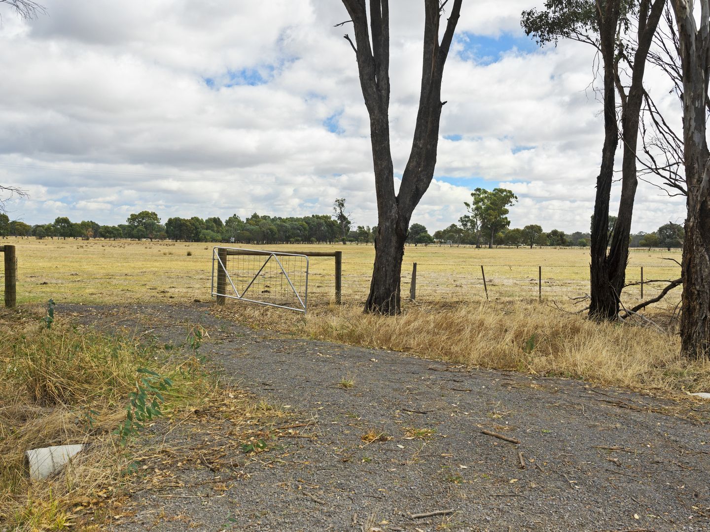 83 Moglonemby Road, Euroa VIC 3666, Image 1