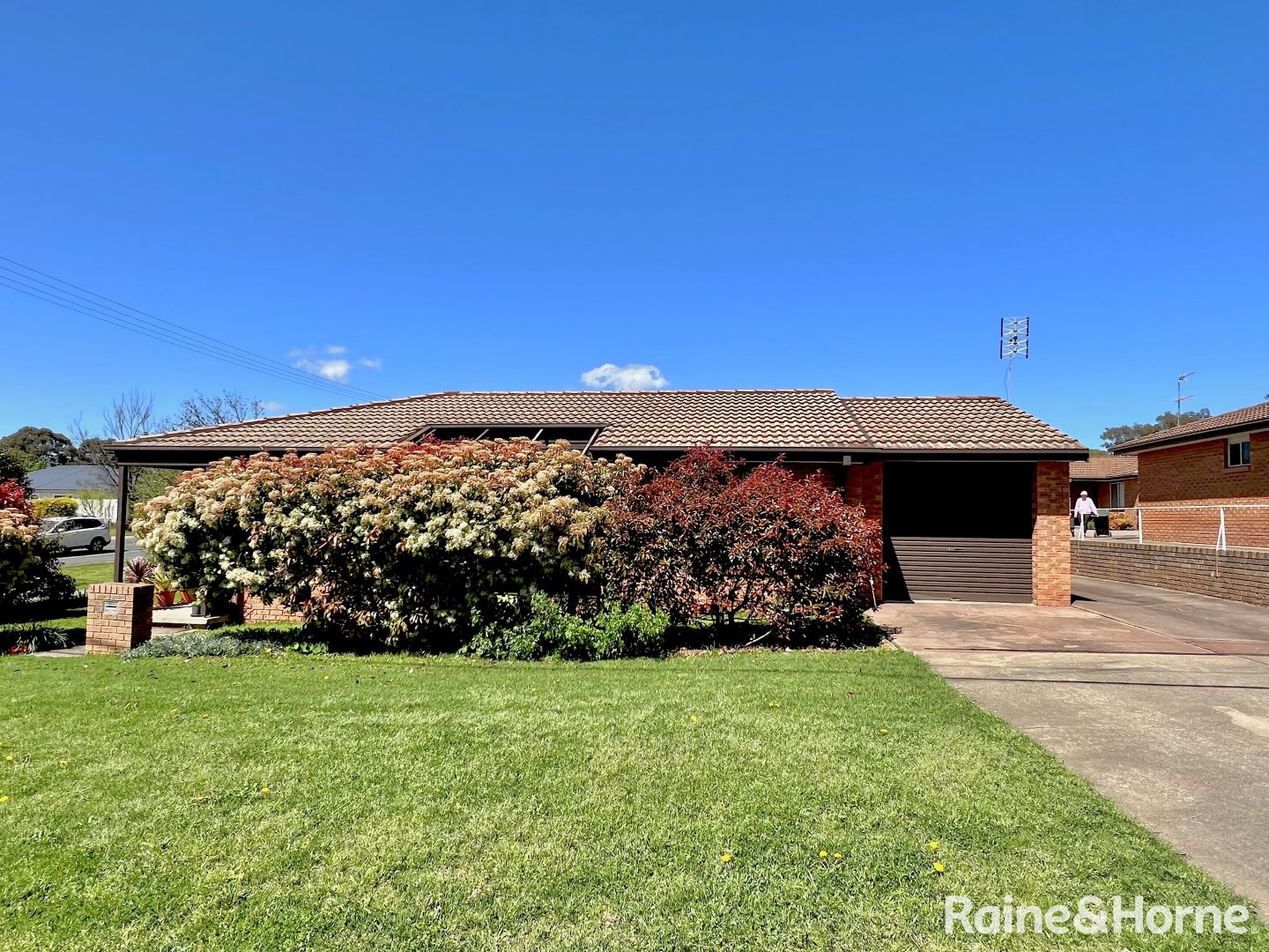 3/61 Wombat Street, Young NSW 2594 Domain