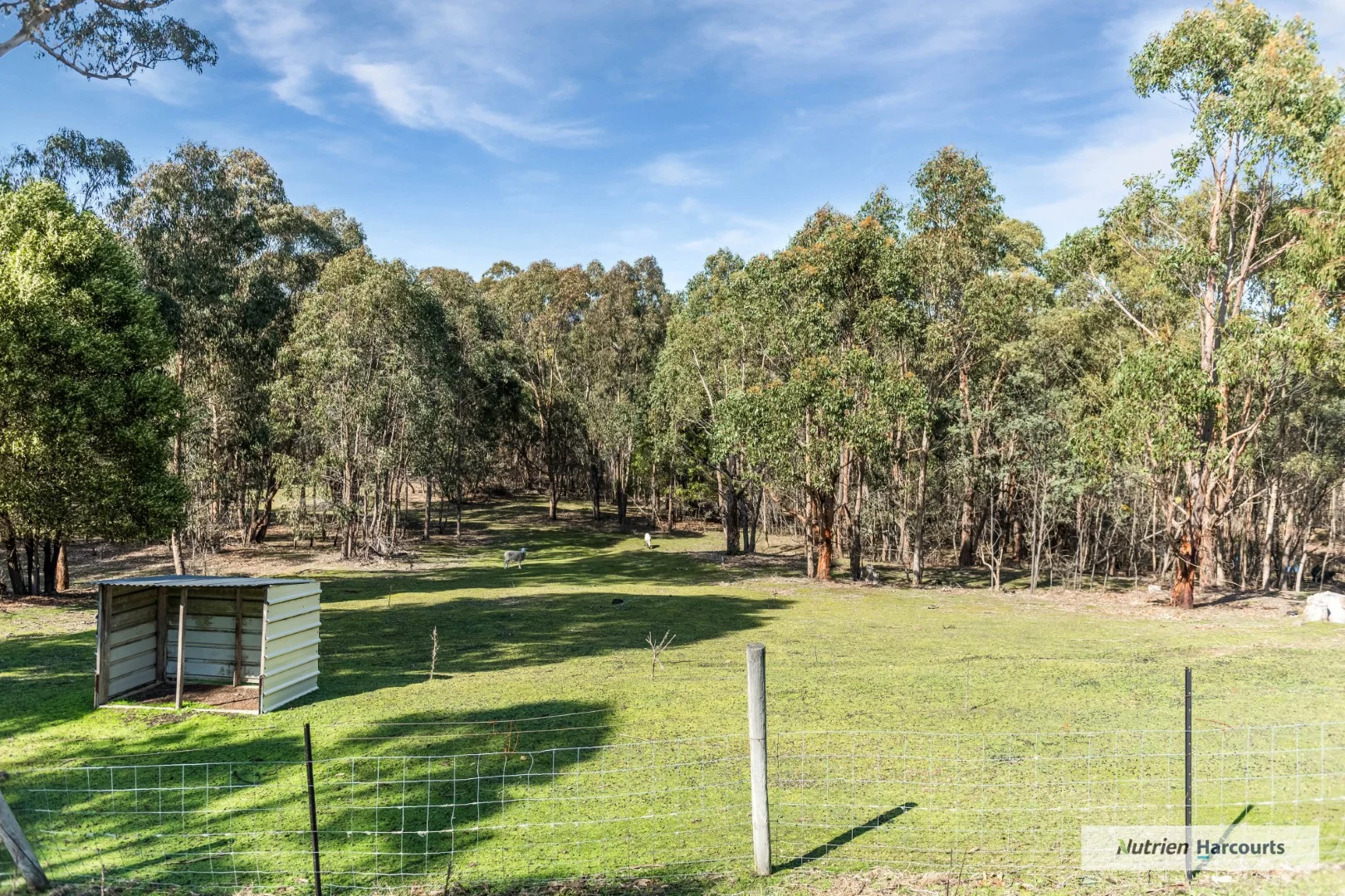 Additional image 22 of 740 Spur Road, Clonbinane VIC 3658