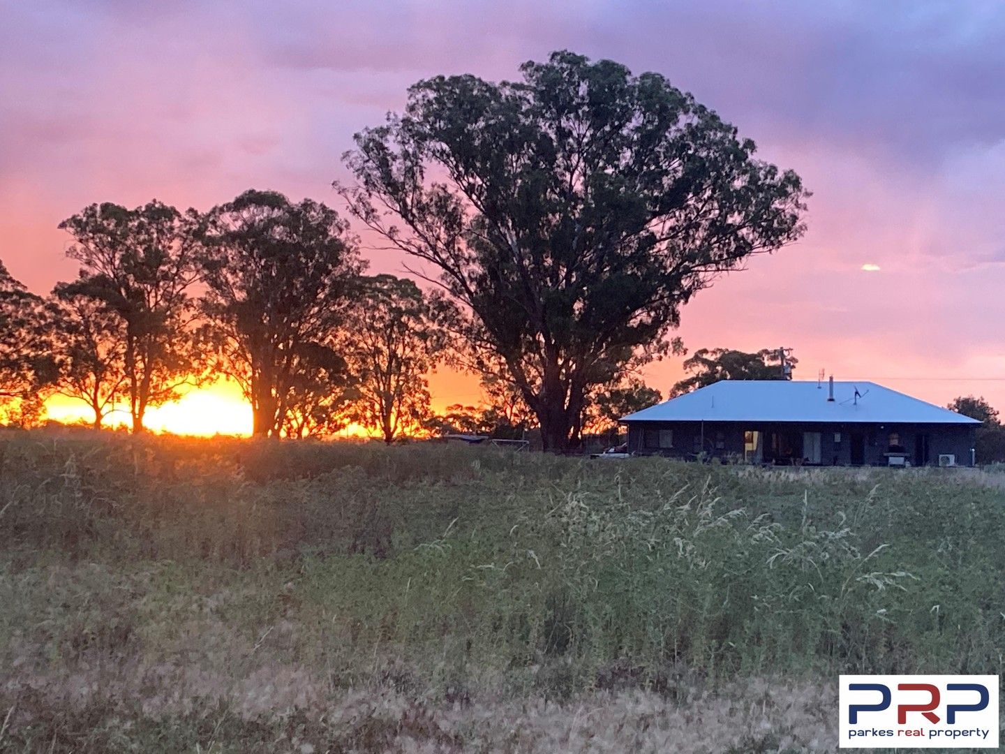 4640 Newell Highway, Peak Hill NSW 2869 Domain