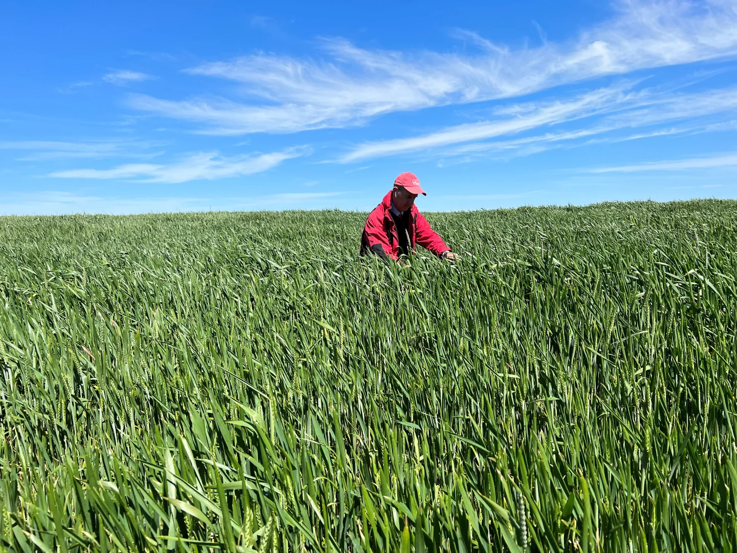 Additional image 8 of Woorndoo-Darlington Road, Woorndoo VIC 3272