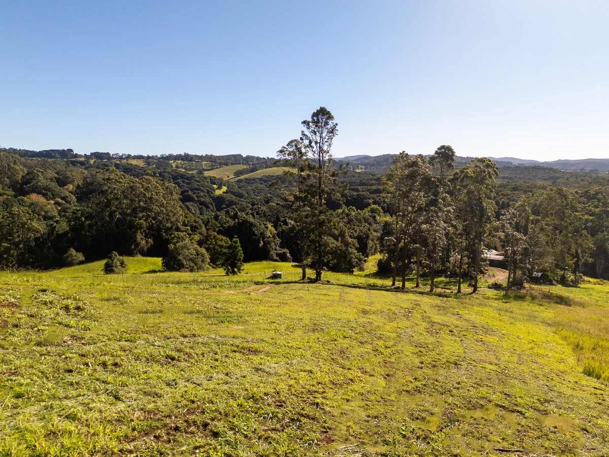 Image 15