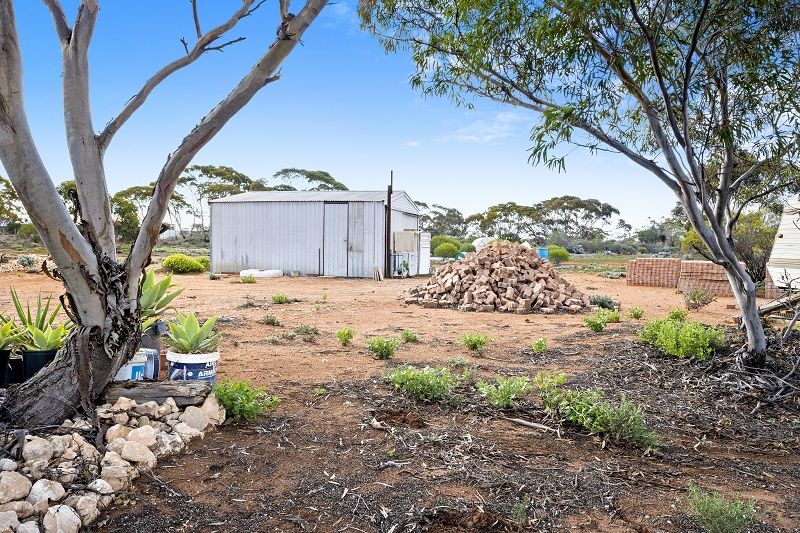 38 Petters Road, Morgan SA 5320, Image 1