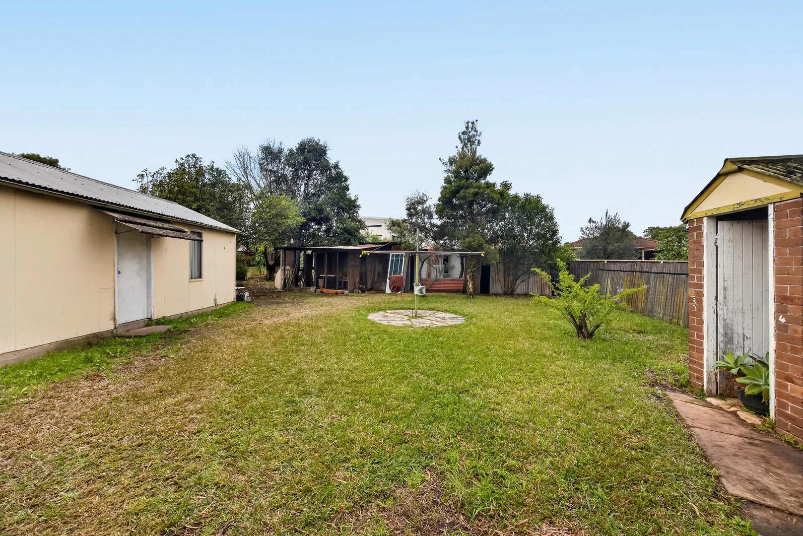 Image 12