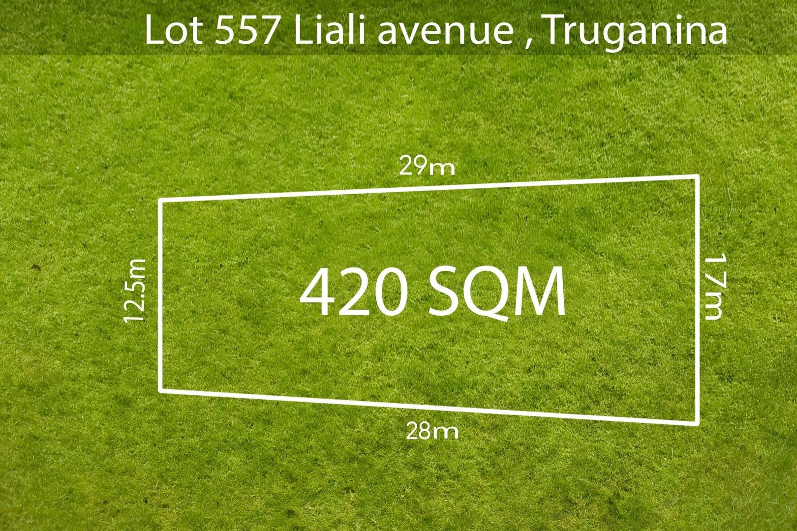 Lot 557 Liali Avenue, Truganina VIC 3029, Image 0