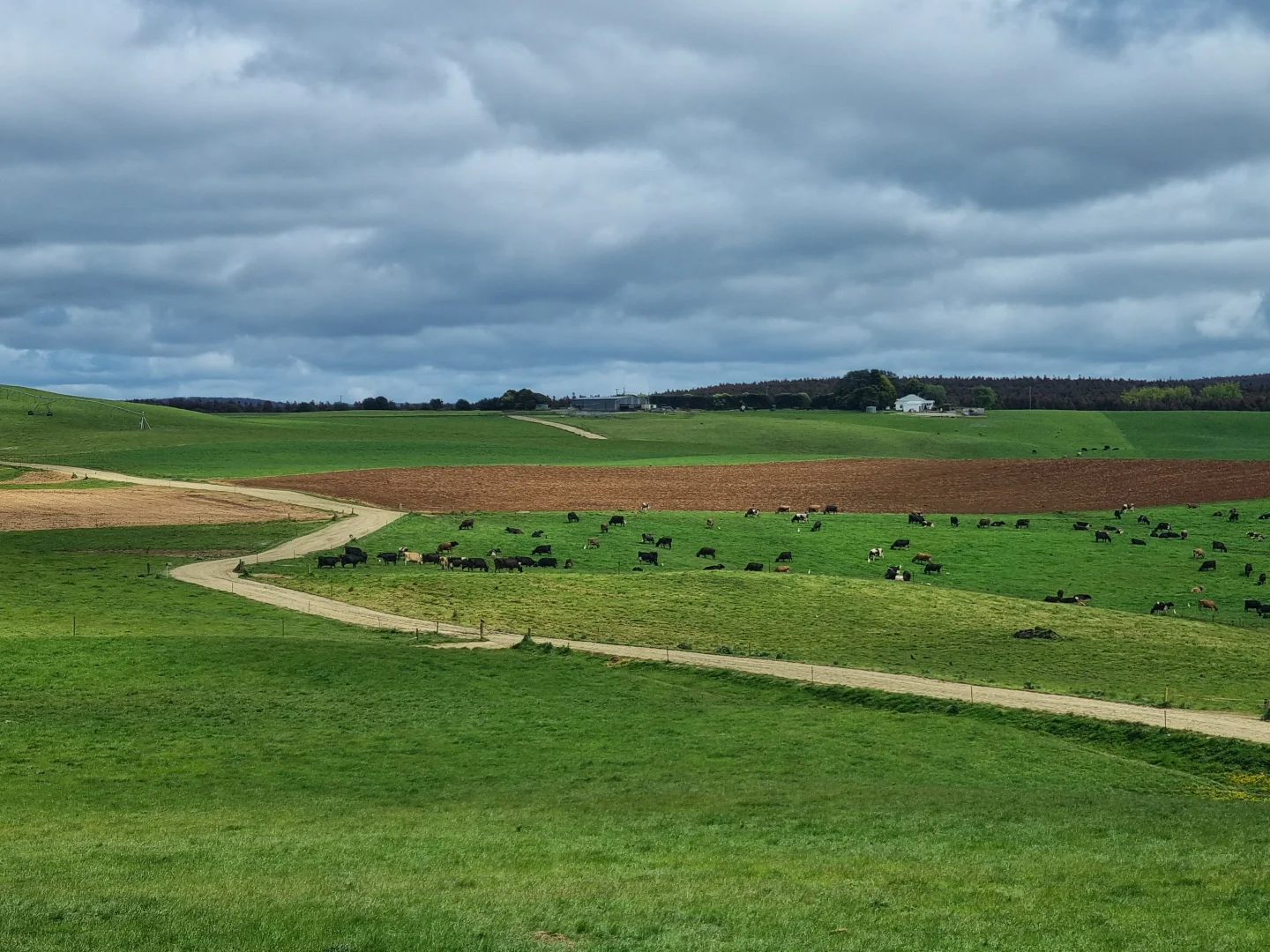 Additional image 19 of 2319 Murchison Highway, Henrietta TAS 7325