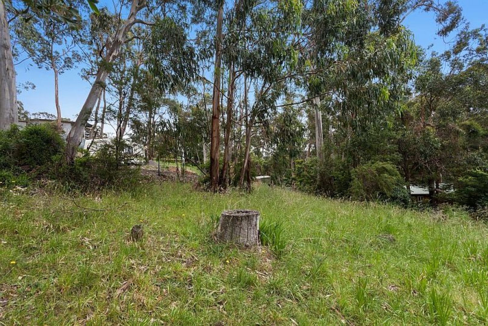 44 Ridge Drive, Kennett River VIC 3234, Image 2