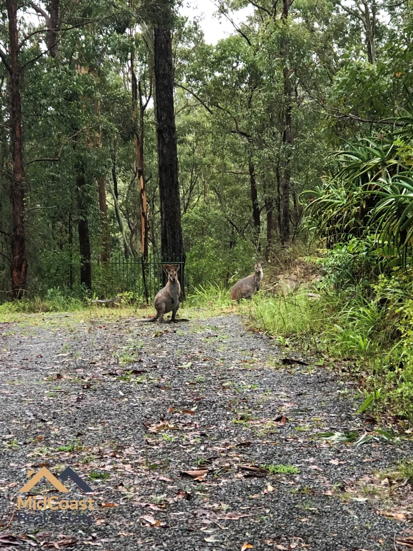 Additional image 11 of 16 Old Schoolhouse Road, Crawford River NSW 2423