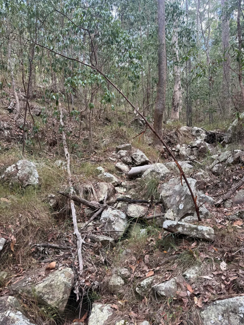 Image 15