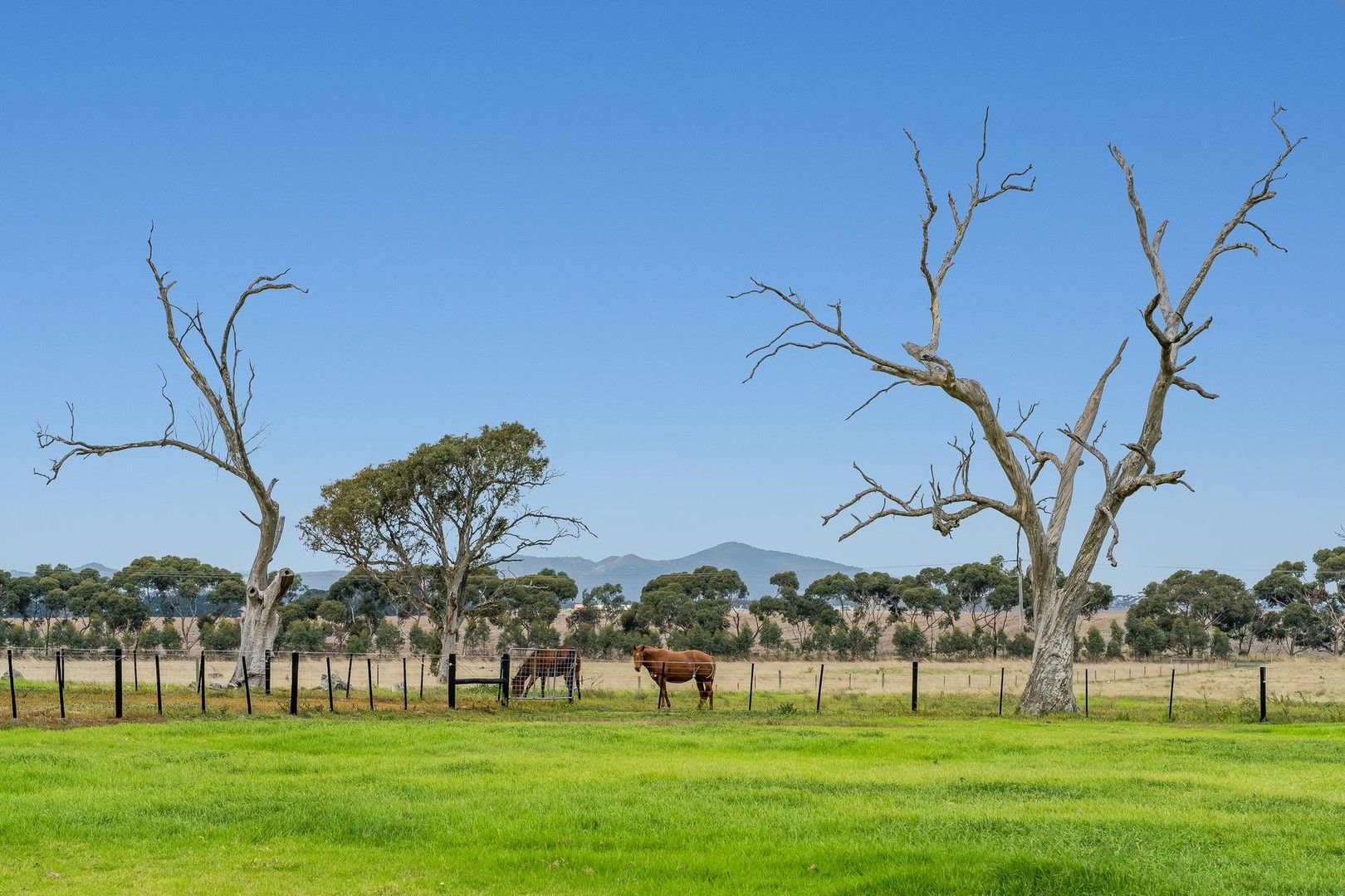 1385-1425 Ballan Road, Anakie VIC 3213, Image 1