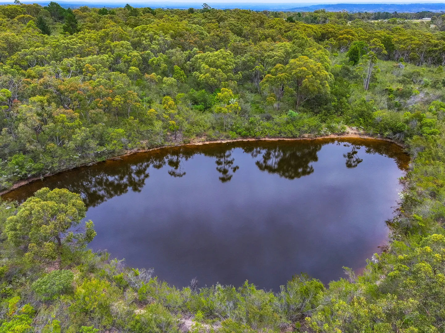 Additional image 6 of 81 Victoria Road, Wedderburn NSW 2560