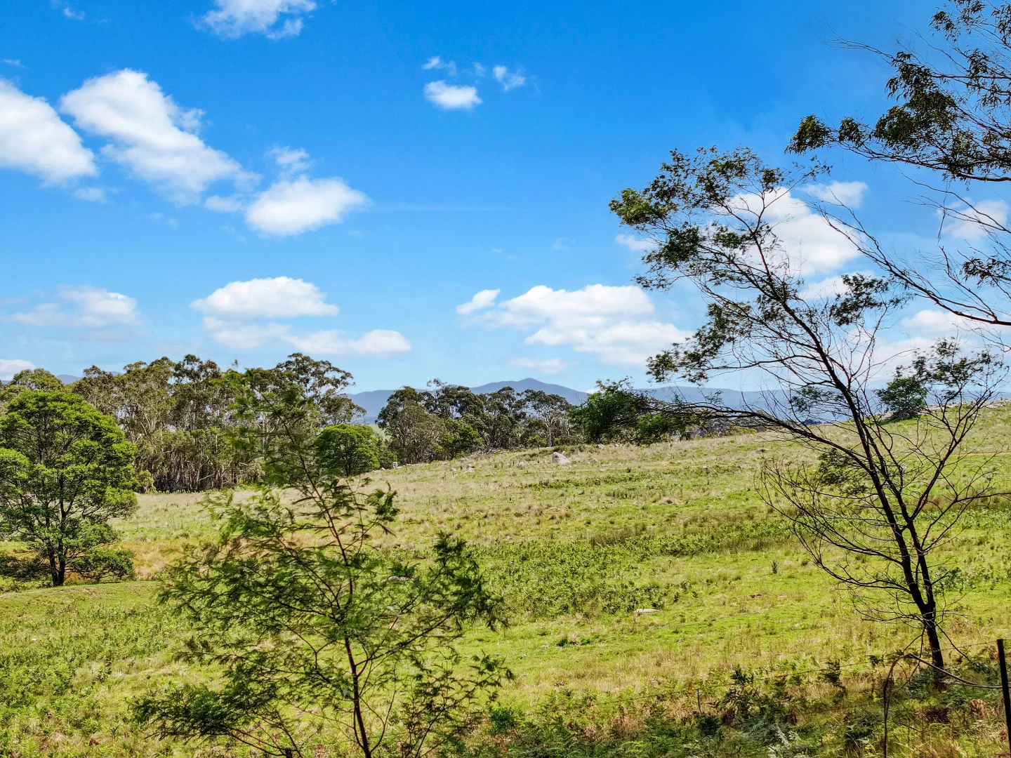 Additional image 11 of 195 Halls Lane, Braidwood NSW 2622