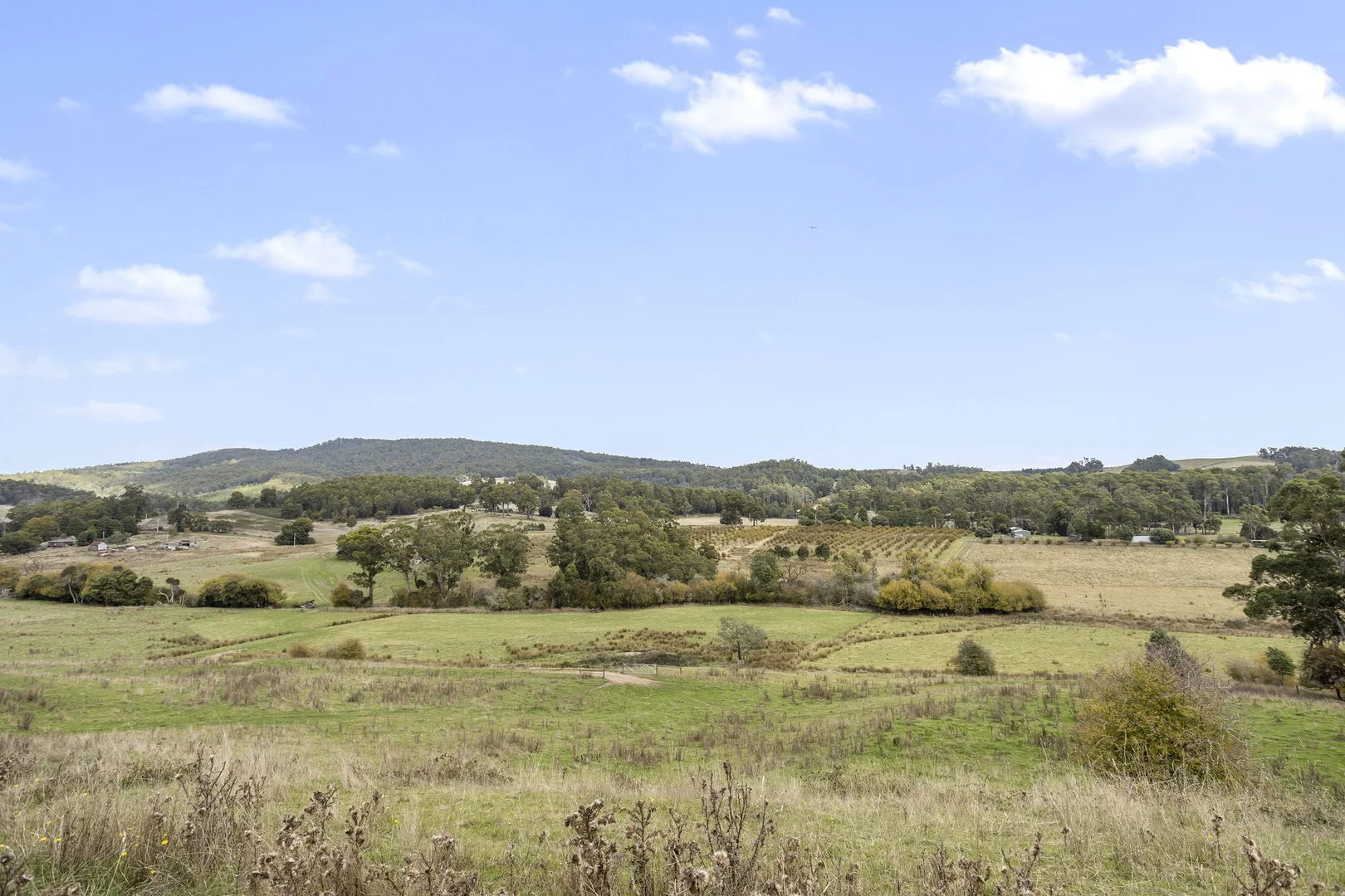 Additional image 9 of 83 Turkey Farm Road, Glengarry TAS 7275