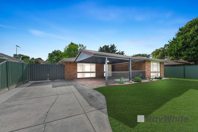 Picture of 25 Endeavour Drive, CRANBOURNE NORTH VIC 3977