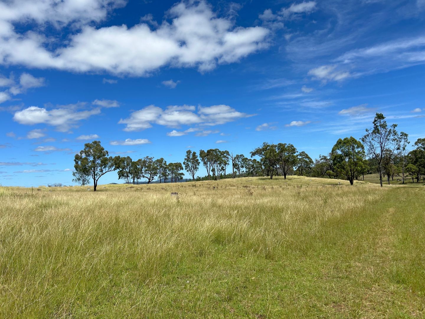 13081 Guyra Road, Inverell NSW 2360, Image 1