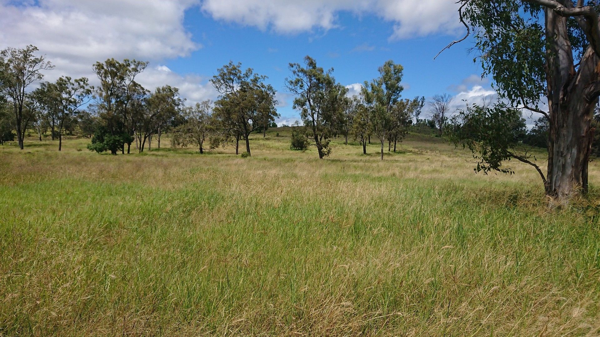 Lot 59 Herrons Road, Iredale QLD 4344, Image 0