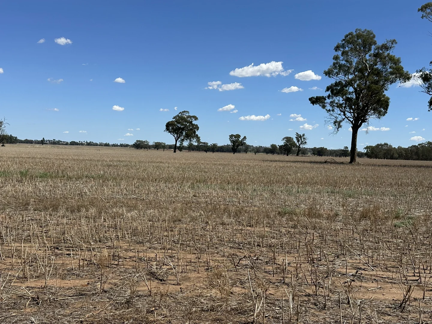 Additional image 17 of 1501 Howlong-Goombargana Road, Brocklesby NSW 2642