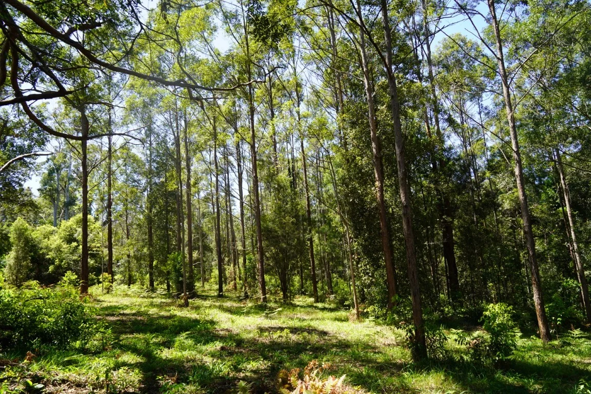 Image 12
